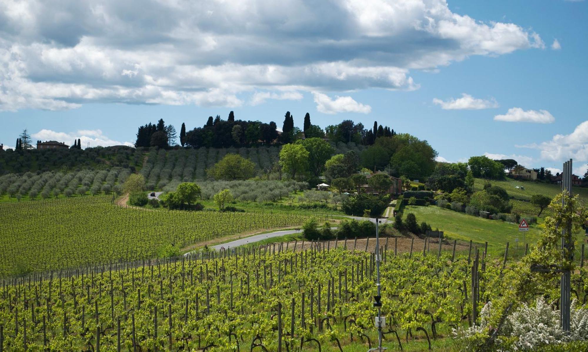 Villa Il Castagno Wine & Resort Siena Exteriér fotografie
